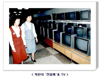 북한의 진달래표 TV