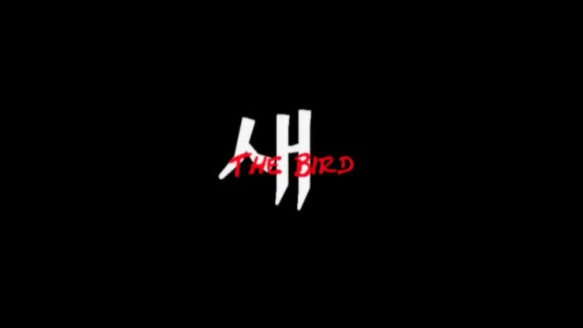 [동영상] Animation - Bird [새]