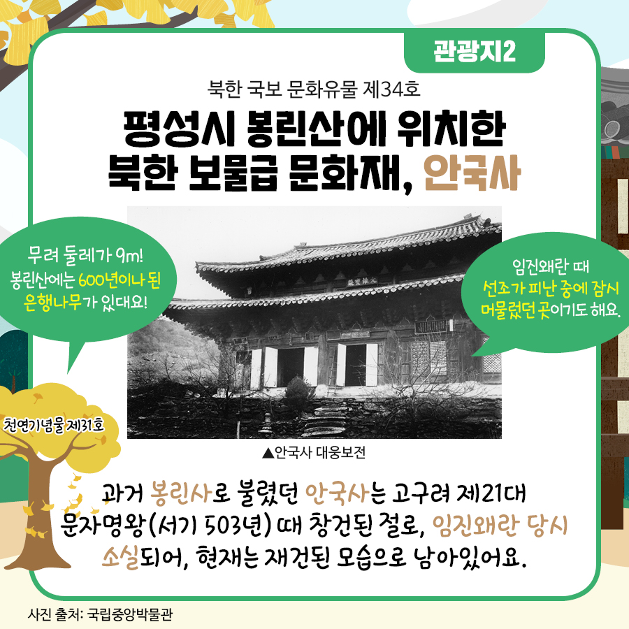 평성시에 위치한 북한 보물급 문화재, 안국사