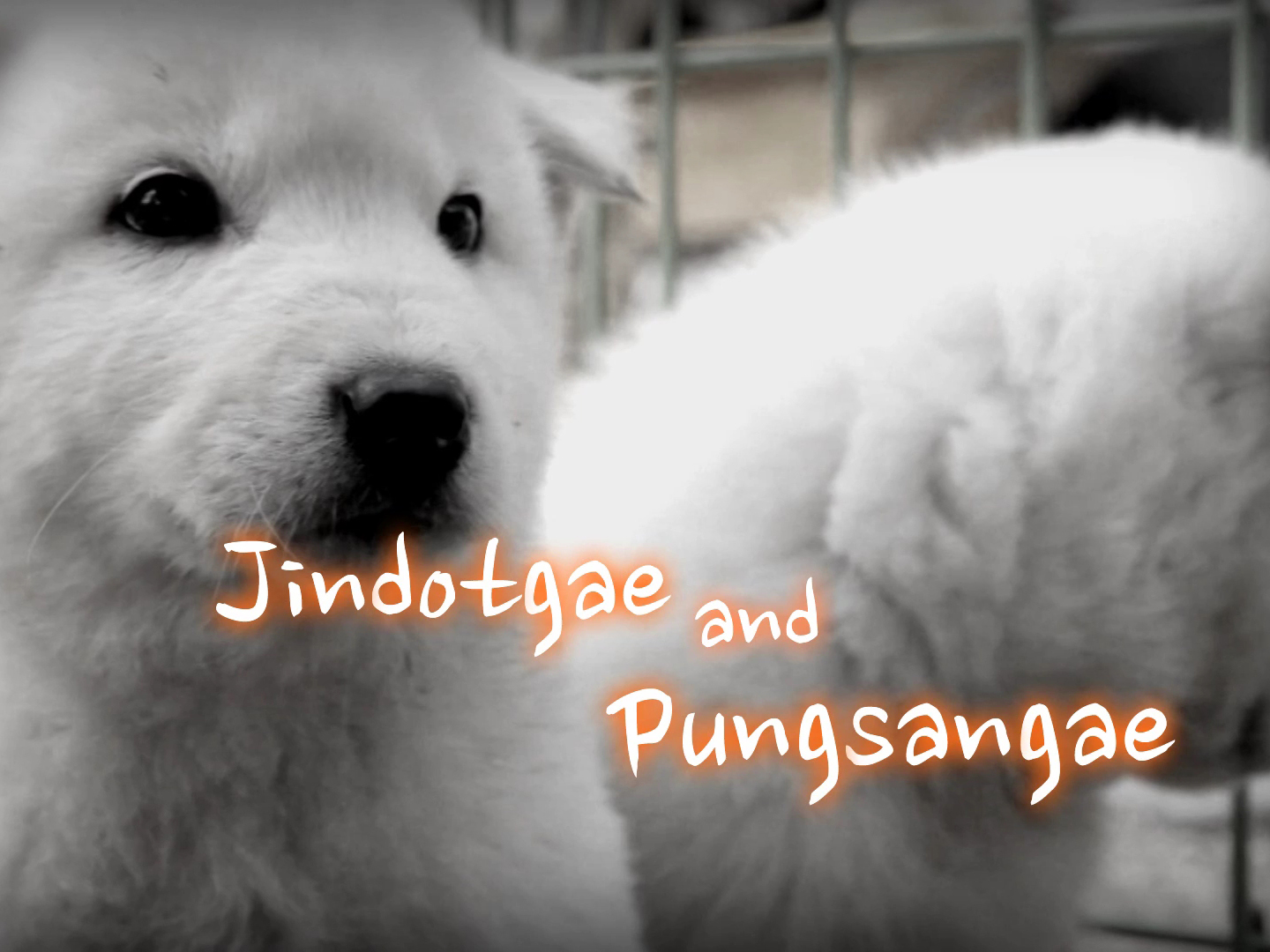 Jindotgae and Pungsangae for the lower grades in elementary school.jpg