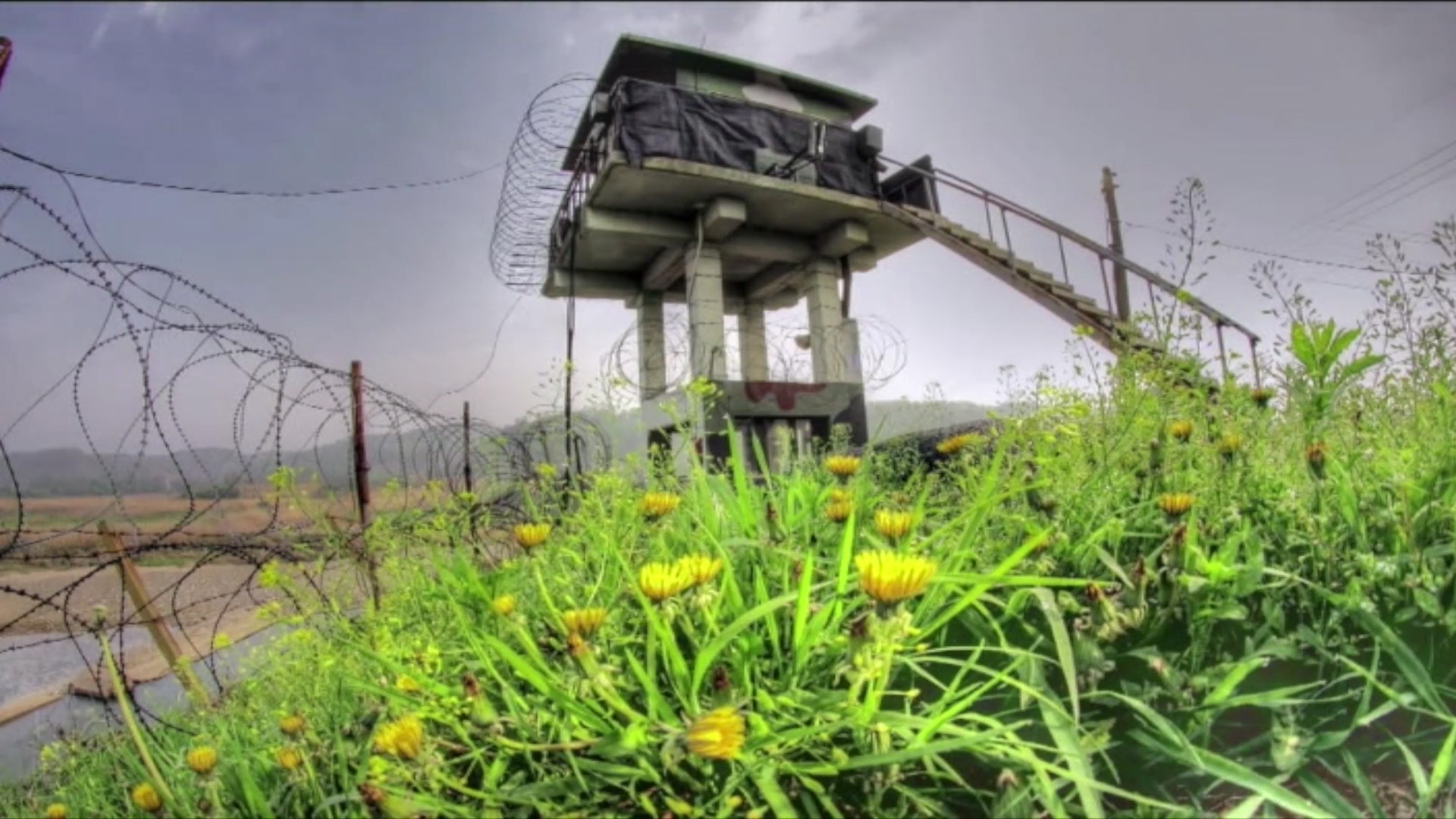 [클립영상] 역사의 현장 DMZ(고등학교 생활과 윤리, 한국지리)